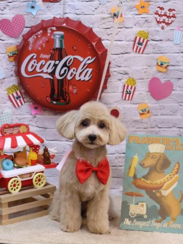 20230908ナッツちゃん